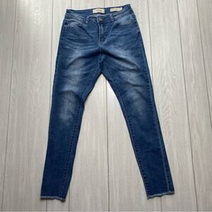 Lola Jeans Women's Blue Denim Alexa Dan High-Rise Skinny Jeans Size 27 / 2